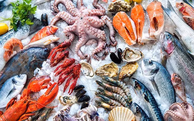 Nhom thuy san 'khoi nghia' tro lai phien 8/8