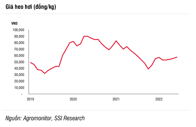 Nganh chan nuoi ky vong hoi phuc, du bao DBC cham muc 29.900 dong/co phieu