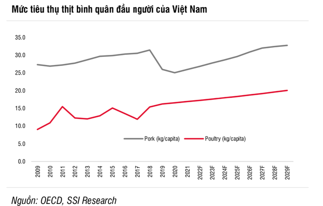 Nganh chan nuoi ky vong hoi phuc, du bao DBC cham muc 29.900 dong/co phieu-Hinh-2