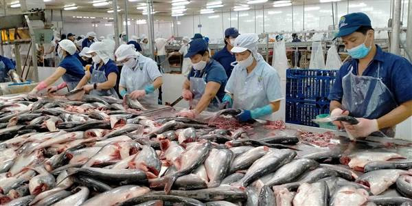 IDI sắp chi 342 tỷ đồng tạm ứng cổ tức tỷ lệ 15% IDI sap chi 342 ty dong tam ung co tuc ty le 15%