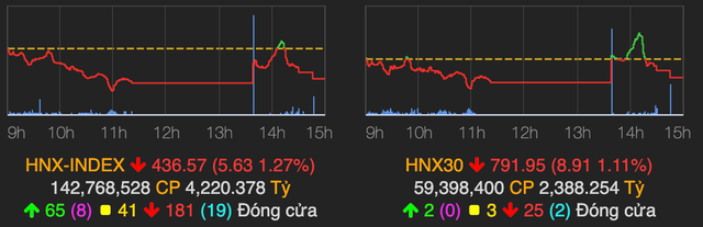 Nhom hang hoa bi chot loi nam san la liet, VN-Index giam 20 diem-Hinh-2