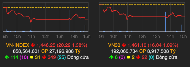 Nhom hang hoa bi chot loi nam san la liet, VN-Index giam 20 diem