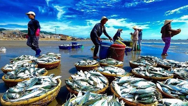 Thời điểm để tích luỹ cổ phiếu ngành thuỷ sản? Thoi diem de tich luy co phieu nganh thuy san?