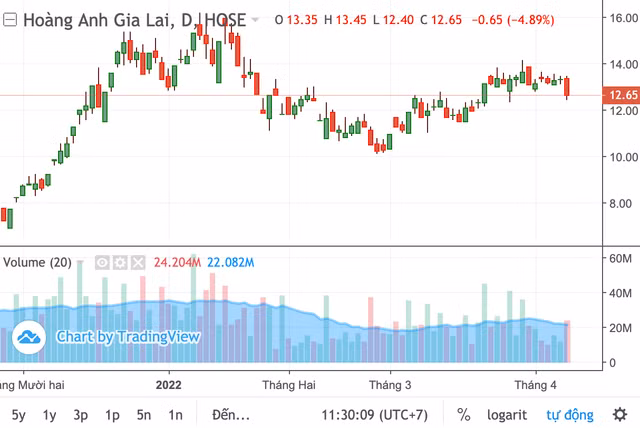 Co phieu HAG bi ban gia san dang luc dai hoi dong co dong dien ra-Hinh-2
