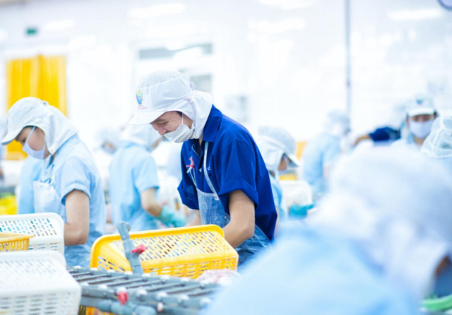 Gặp khó nguồn tiền dù lãi lớn quý 3, ANV lùi thời gian trả cổ tức sang năm 2023 Gap kho nguon tien du lai lon quy 3, ANV lui thoi gian tra co tuc sang nam 2023