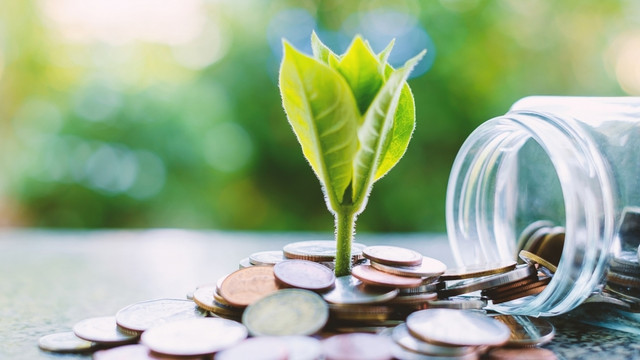 NTC trả cổ tức 60%, PHR nhận về 47 tỷ đồng NTC tra co tuc 60%, PHR nhan ve 47 ty dong