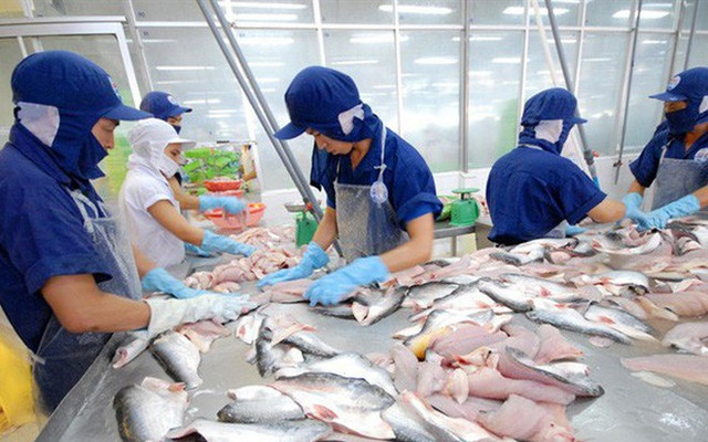 Thị giá ANV giảm mạnh, Chủ tịch Nam Việt muốn thoái toàn bộ vốn Thi gia ANV giam manh, Chu tich Nam Viet muon thoai toan bo von