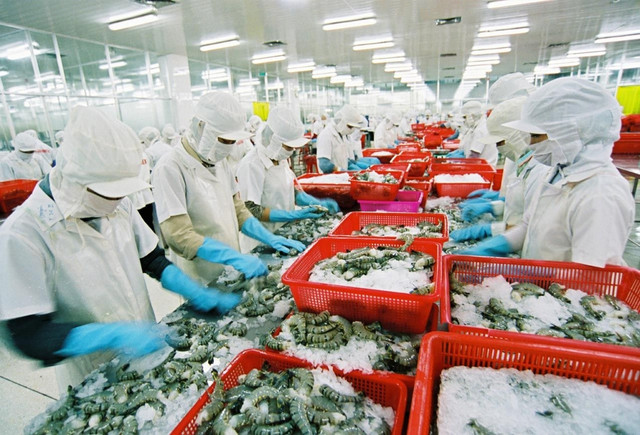 Lợi nhuận các công ty thuỷ sản đã đạt đỉnh? Loi nhuan cac cong ty thuy san da dat dinh?