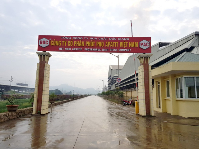 Mỗi tuần một doanh nghiệp: PAT 'nóng hổi' nhờ lượng phốt pho vàng lớn Moi tuan mot doanh nghiep: PAT 'nong hoi' nho luong phot pho vang lon