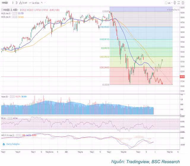 Nha dau tu nen giao dich nhung co phieu nao trong giai doan thi truong downtrend?
