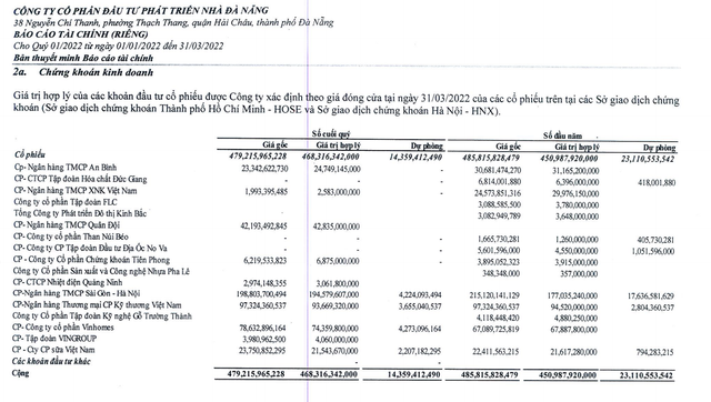 Dau tu chung khoan giup NDN co lai trong quy 1/2022