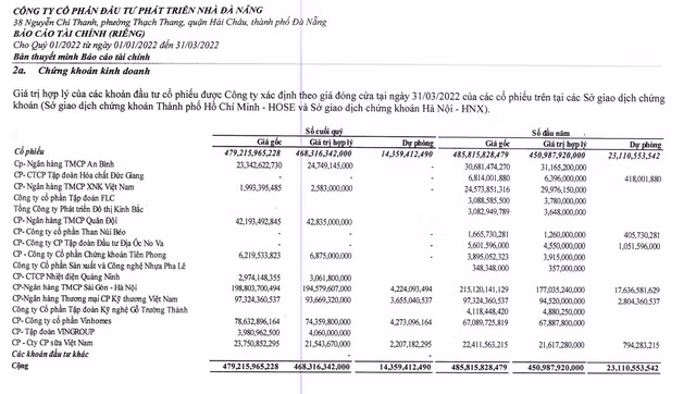 Dau tu chung khoan giup NDN co lai trong quy 1/2022
