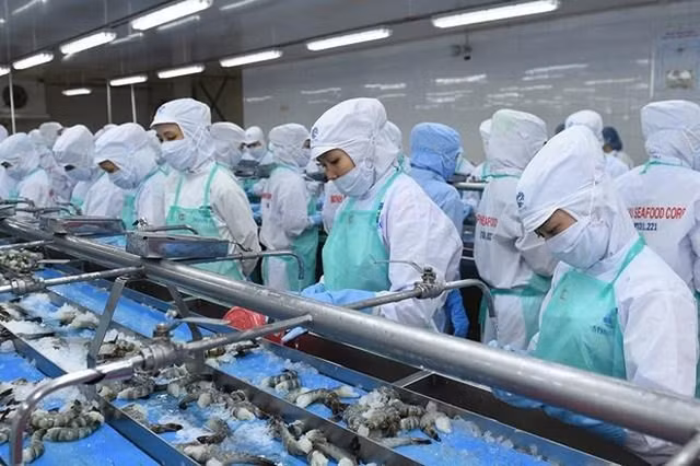 Sao Ta (FMC): Doanh so tieu thu thang 10 di lui so thang truoc