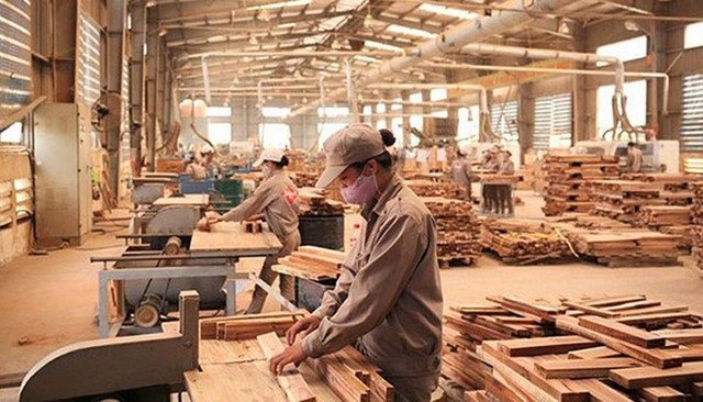 Gỗ Thuận An lãi hơn 11 tỷ đồng trong nửa đầu năm Go Thuan An lai hon 11 ty dong trong nua dau nam