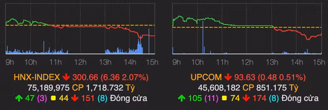 Thi truong bi ban manh, VN-Index tiep tuc giam gan 22 diem-Hinh-2