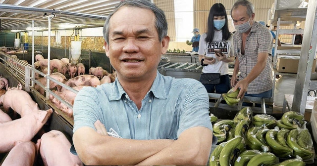 HAGL của bầu Đức được chấp thuận đầu tư dự án chăn nuôi tại Gia Lai HAGL cua bau Duc duoc chap thuan dau tu du an chan nuoi tai Gia Lai