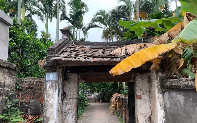 Tan muc nha co 300 tuoi lam tu go lim giua Ha thanh-Hinh-2