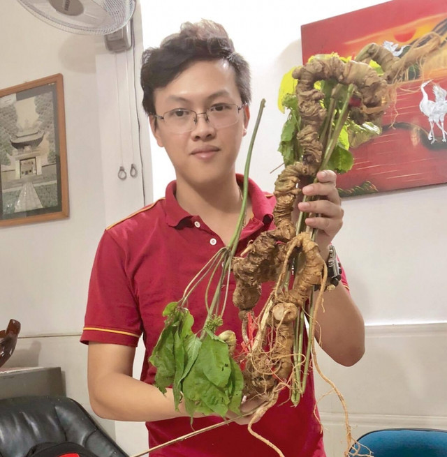 Tận mục những cây sâm Ngọc Linh giá tiền tỷ đắt đỏ - Hình 4 Tan muc nhung cay sam Ngoc Linh gia tien ty dat do-Hinh-4