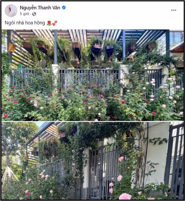 Can canh biet thu xa hoa cua Van Hugo va chong dai gia-Hinh-4