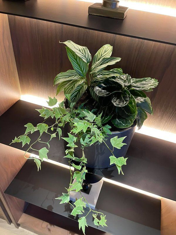 Chi tiết căn penthouse 18 tỷ MC Thành Trung tặng vợ - Hình 10 Chi tiet can penthouse 18 ty MC Thanh Trung tang vo-Hinh-10