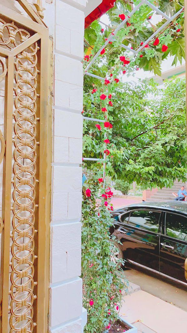 Ngắm biệt thự ngập tràn sắc Tết của ca sĩ Vy Oanh - Hình 6 Ngam biet thu ngap tran sac Tet cua ca si Vy Oanh-Hinh-6