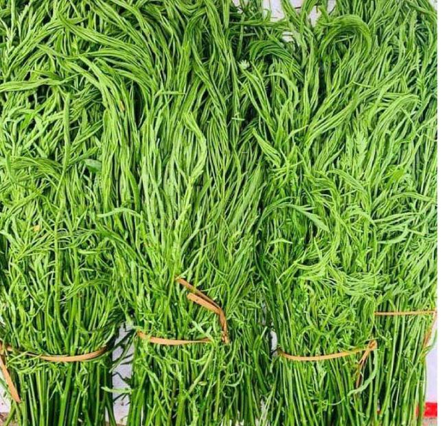 5 loại rau “hái ra tiền” mọc đầy ở Việt Nam... không phải ai cũng biết 5 loai rau “hai ra tien” moc day o Viet Nam... khong phai ai cung biet