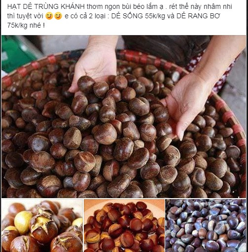 Hạt dẻ Trung Quốc 'đội lốt' Sapa tràn ngập thị trường Hat de Trung Quoc 'doi lot' Sapa tran ngap thi truong