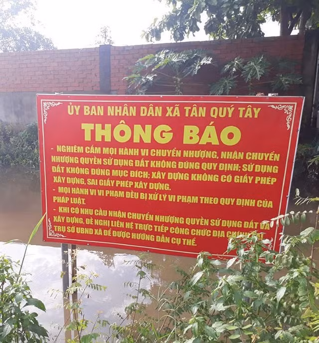 Nguyen Thai Luyen va nhung vu lua dao ban du an 'ma' rung dong du luan nam 2019-Hinh-3