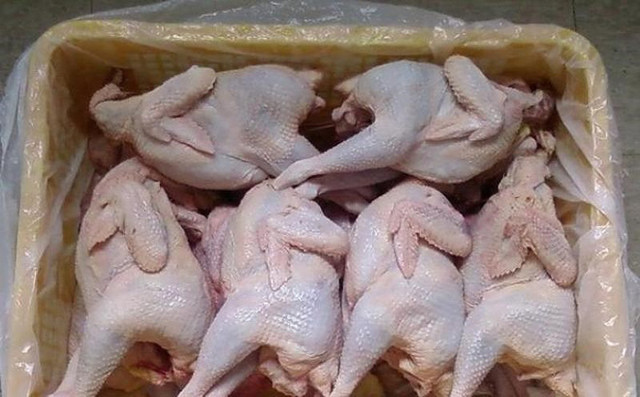 Đằng sau những loại gà giá rẻ bán đầy chợ mạng - Hình 12 Dang sau nhung loai ga gia re ban day cho mang-Hinh-12