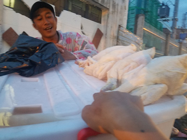 Đằng sau những loại gà giá rẻ bán đầy chợ mạng - Hình 9 Dang sau nhung loai ga gia re ban day cho mang-Hinh-9