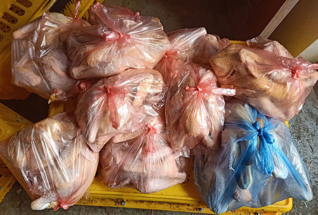 Đằng sau những loại gà giá rẻ bán đầy chợ mạng - Hình 8 Dang sau nhung loai ga gia re ban day cho mang-Hinh-8