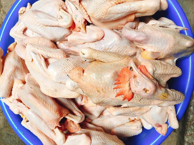 Đằng sau những loại gà giá rẻ bán đầy chợ mạng - Hình 6 Dang sau nhung loai ga gia re ban day cho mang-Hinh-6