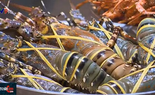 Vi sao tom hum gia re chi con 150 nghin/con?-Hinh-2