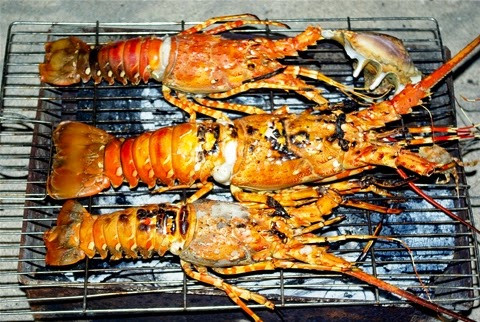 Vì sao tôm hùm giá rẻ chỉ còn 150 nghìn/con? - Hình 5 Vi sao tom hum gia re chi con 150 nghin/con?-Hinh-5