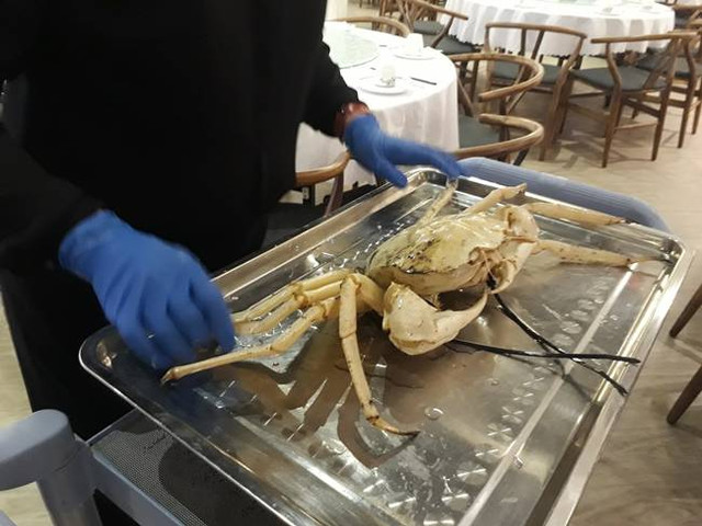 Xuat hien cua “bach tang” ngon nhat the gioi vai trieu dong/con-Hinh-8