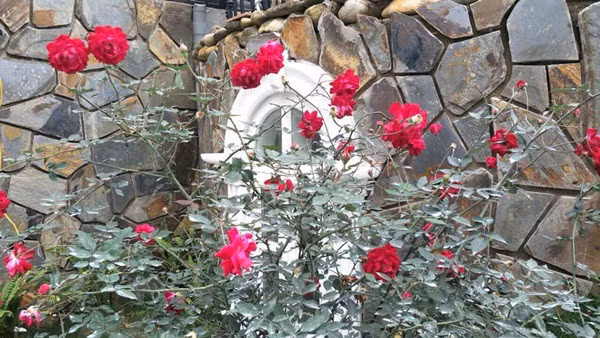 Can canh 'biet phu' bang go hoanh trang cua nghe si Xuan Bac-Hinh-8