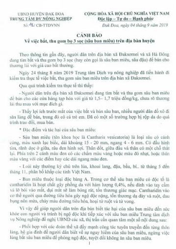 Bất ngờ với bọ 3 sọc có độc tố nhưng thương lái thu mua giá 2 triệu/kg Bat ngo voi bo 3 soc co doc to nhung thuong lai thu mua gia 2 trieu/kg