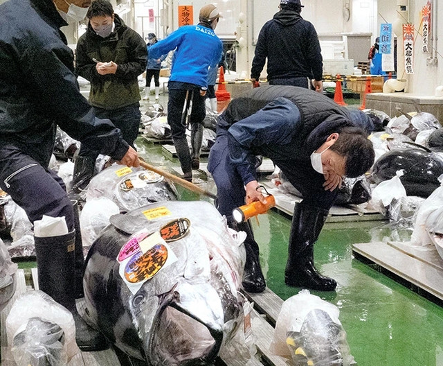 Con ca ngu vay xanh khien dai gia quyet chi hon 50 ty de mua-Hinh-9