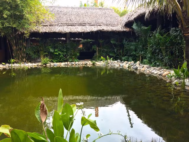 Trong khuôn viên võ đường còn có hồ nước tuyệt đẹp.