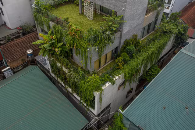 Can canh can nha duoc bao boc boi... rung cay giua do thi-Hinh-3