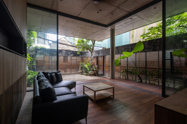 Cận cảnh căn nhà được bao bọc bởi... rừng cây giữa đô thị - Hình 4 Can canh can nha duoc bao boc boi... rung cay giua do thi-Hinh-4