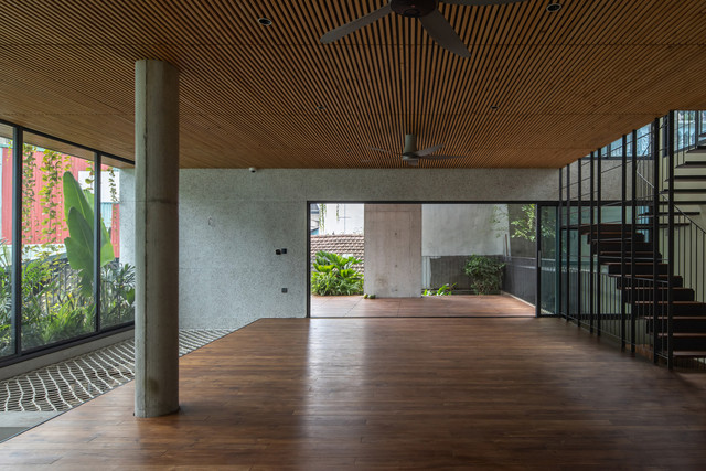 Cận cảnh căn nhà được bao bọc bởi... rừng cây giữa đô thị - Hình 10 Can canh can nha duoc bao boc boi... rung cay giua do thi-Hinh-10