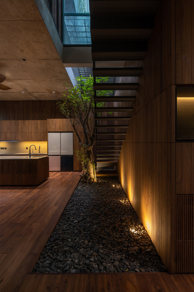 Cận cảnh căn nhà được bao bọc bởi... rừng cây giữa đô thị - Hình 7 Can canh can nha duoc bao boc boi... rung cay giua do thi-Hinh-7