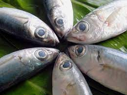 Có những loại cá dù rẻ đến mấy, người tiêu dùng cũng không nên mua - Hình 9 Co nhung loai ca du re den may, nguoi tieu dung cung khong nen mua-Hinh-9