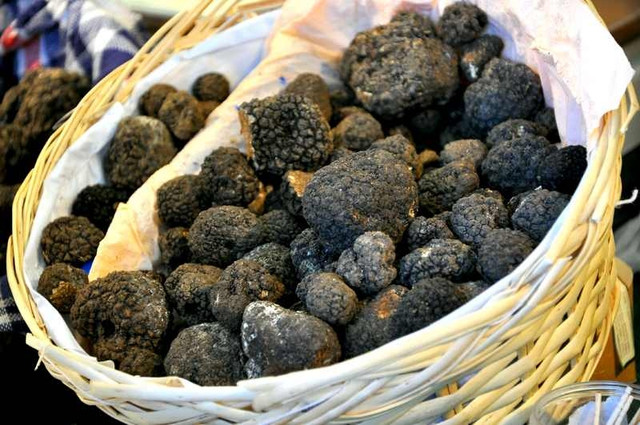 Nấm truffle được ví như "kim cương" trong ẩm thực - Hình 10 Nam truffle duoc vi nhu