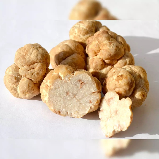 Nấm truffle được ví như "kim cương" trong ẩm thực - Hình 6 Nam truffle duoc vi nhu