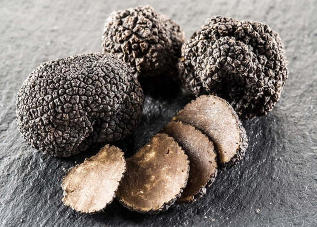 Nấm truffle được ví như "kim cương" trong ẩm thực Nam truffle duoc vi nhu