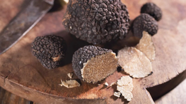 Nấm truffle được ví như "kim cương" trong ẩm thực - Hình 2 Nam truffle duoc vi nhu