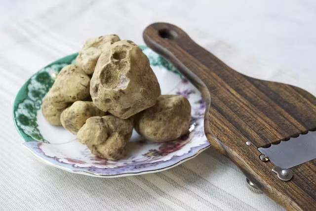Nấm truffle được ví như "kim cương" trong ẩm thực - Hình 12 Nam truffle duoc vi nhu