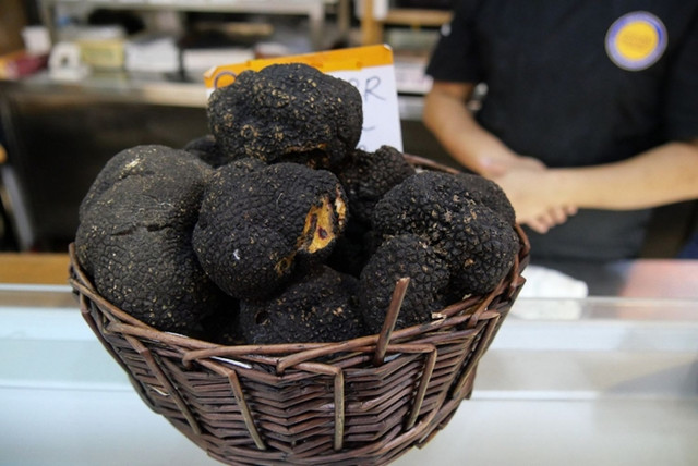 Nấm truffle được ví như "kim cương" trong ẩm thực - Hình 11 Nam truffle duoc vi nhu
